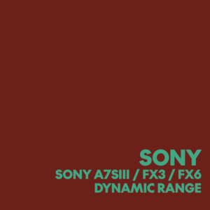 DYNAMIC RANGE FREE GUIDA - SONY A7SIII-FX3-FX6