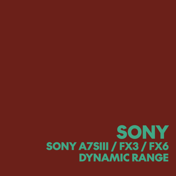 DYNAMIC RANGE FREE GUIDA - SONY A7SIII-FX3-FX6